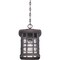 Quoizel Stonington Outdoor Hanging Lantern SNN1909PN - alternate 4